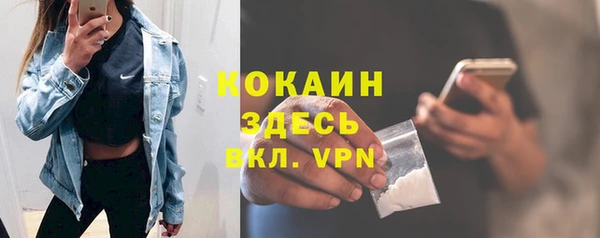 ешки Аркадак