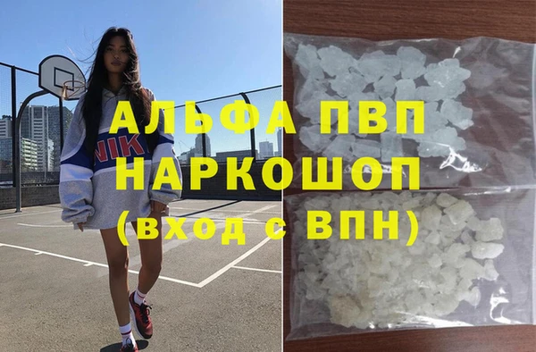 ешки Аркадак