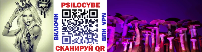 Галлюциногенные грибы мухоморы  Гатчина 